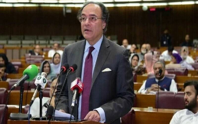 سٹیٹ بینک کے زرمبادلہ ذخائر سال کے آخر تک 14 ارب ڈالر تک پہنچ جائیں گے : وزیر خزانہ