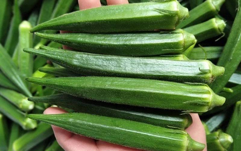 100 روپے کلو بکنے والی بھنڈی کی قیمت منڈی میں 1.25 روپے کلو ہوگئی 
