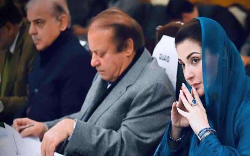  نواز شریف اور مریم نواز کا بھارت میں طیارہ حادثے پر اظہار افسوس