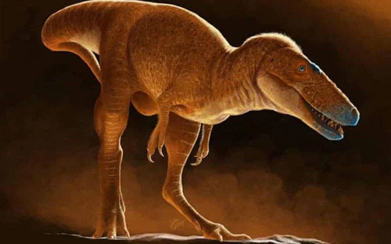 ڈائنا سور کی 4 میٹر لمبی نئی نسل خنخولو دریافت  