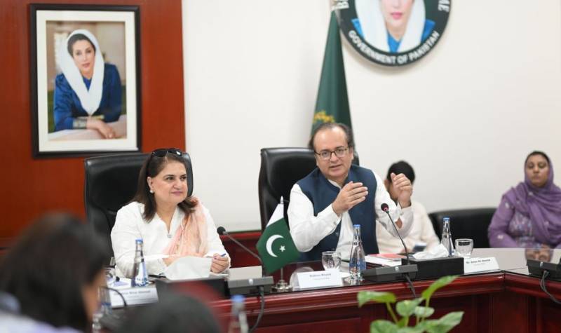 شہید محترمہ بینظیربھٹو کے یوم پیدائش پر ہنر مند پورٹل کے آغاز کا اعلان