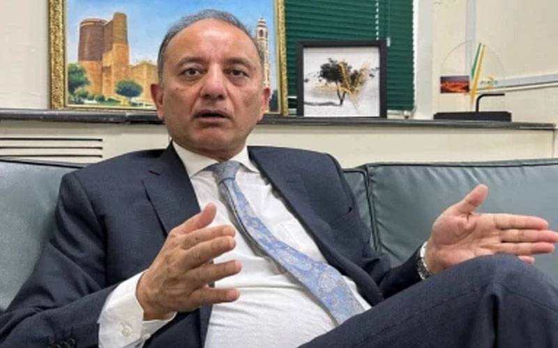  عسکری فتح سے ہمیں سفارتی فتح ملی: مصدق ملک