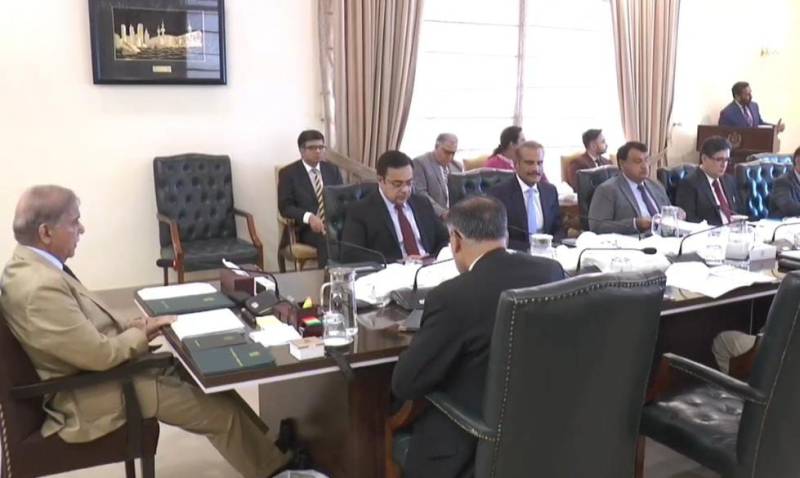 شعبہ صحت میں اصلاحات کا نفاذ، کوئی سیاسی مداخلت برداشت نہیں کی جائیگی، شہباز شریف