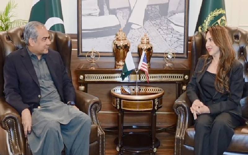 امید ہے ٹرمپ غزہ میں بھی جنگ بندی کرائیں گے: محسن نقوی