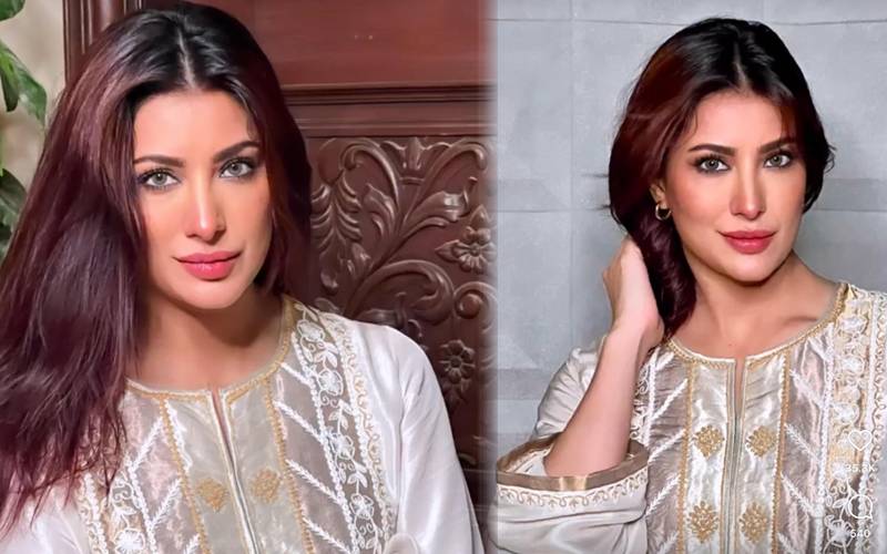 مہوش حیات ہنی سنگھ کیساتھ کام کر کے مشکل میں پھنس گئیں