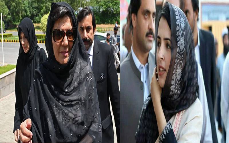 مشال یوسفزئی نے علیمہ خان کے بیٹے پر طنزیہ سوالات اٹھا دیئے 