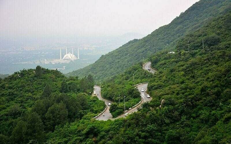 اسلام آباد، مارگلہ ہل پر ہرن کا شکار کرنے کے واقعے کا مقدمہ درج  