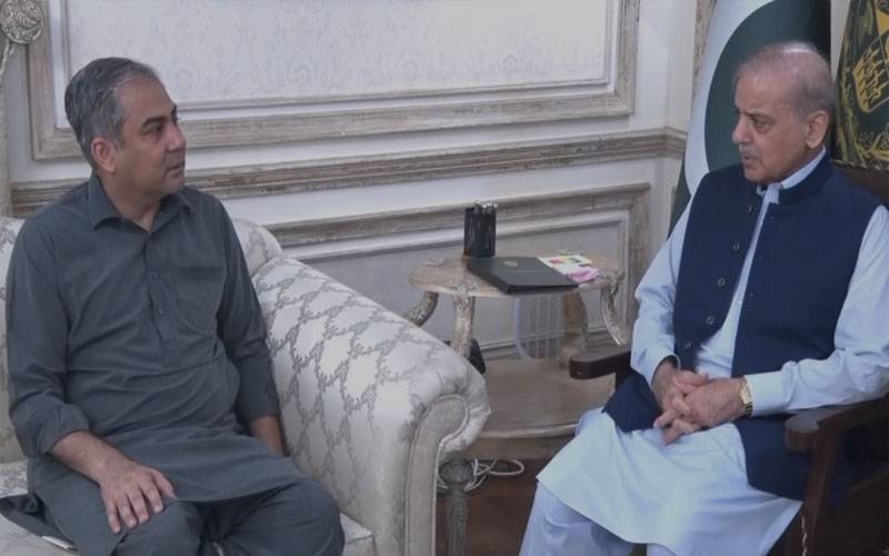 وزیراعظم سے وزیر داخلہ کی ملاقات،یوم عاشورپر سیکیورٹی انتظامات پر بریفنگ دی 