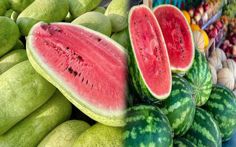 سعودی مارکیٹوں میں تربوز کی آمد موسم گرما کے آغاز کا اعلان