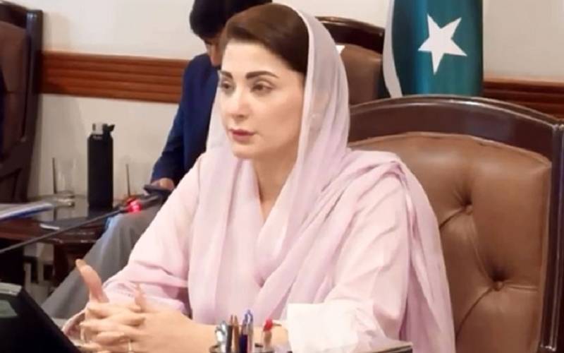 وزراعلیٰ کا لاہور میں شیر کے حملے سے زخمی بچے، خاتون کیلئے مالی امداد کا اعلان