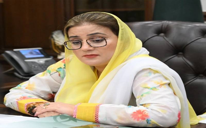   علی امین اور بیرسٹر سیف  کا بھی نیکسٹ سٹاپ اڈیالہ ہی نظر آرہا ہے:عظمیٰ بخاری