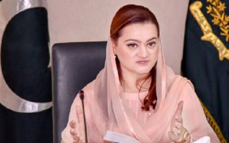سموگ کا تدراک، تاریخی شجرکاری مہم شروع کردی: مریم اورنگزیب