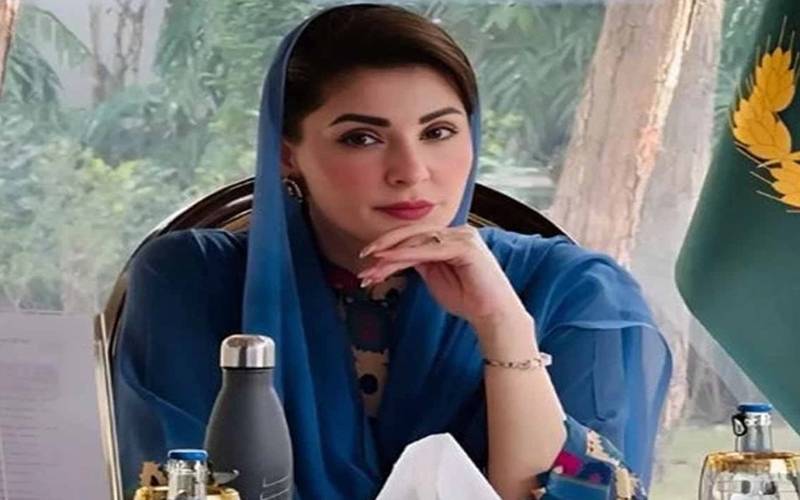آبادی کا بوجھ ملکی وسائل کیلئے بہت بڑا خطرہ بن سکتا ہے: مریم نواز