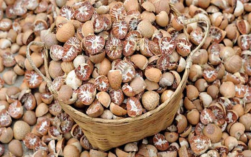 کراچی : پولیس نے سمگلنگ کی کوشش ناکام بنا دی، 3 ٹن چھالیہ ضبط