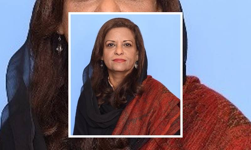 فائنل کال دینا  پی ٹی آئی کی عادت ہے:نفیسہ شاہ