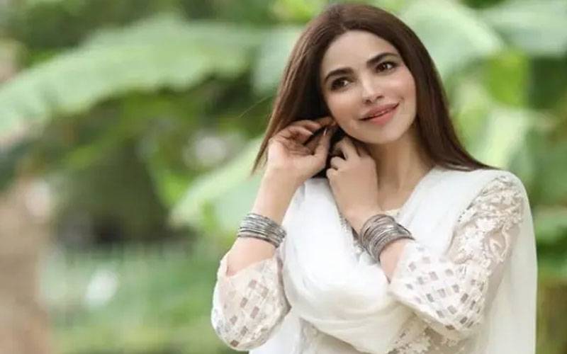 متوفیہ حمیرا اصغر مالی تنگی کا شکار ،2 شناختی کارڈ استعمال کرتی تھیں: تفتیشی حکام 