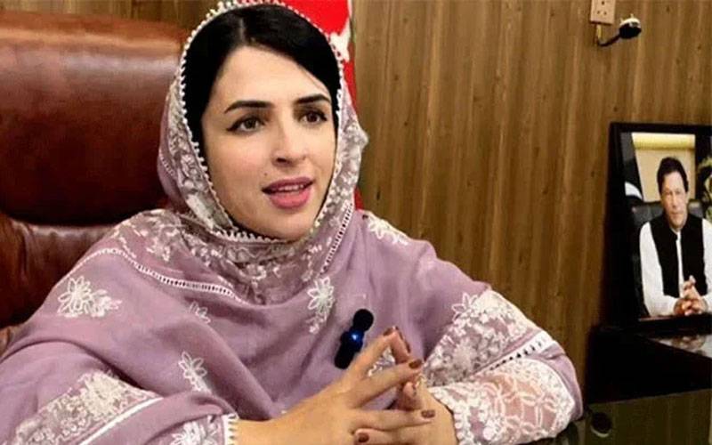 مشعال خان کو سینیٹ کا ٹکٹ کیسے ملا، وہ کس گروپ کا حصہ ہیں؟ ساری حقیقت سامنے آگئی