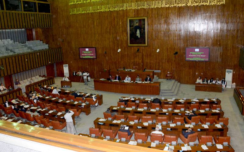 پاکستان شہریت ترمیمی بل سمیت کئی بلز سینیٹ سے منظور