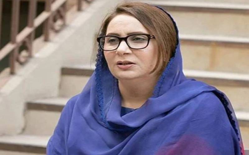 جب آپ نے کوئی آپشن نہیں چھوڑا تو عمران خان نے تحریک کی کال دی ، مسرت جمشید چیمہ
