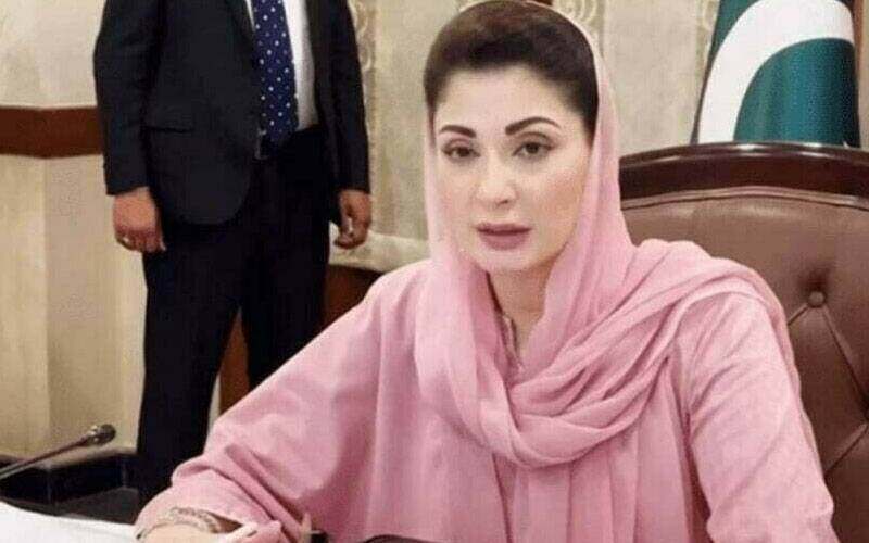 ملکی ترقی میں اوورسیز پاکستانیوں کا کردار اہم ہے : مریم نواز