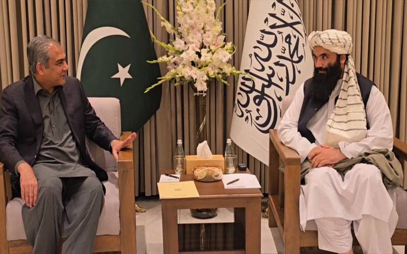  دہشتگرد فساد،عدم استحکام کا باعث بن رہی  ہیں،مل کر روکنا ہو گا،وزیر داخلہ محسن نقوی 