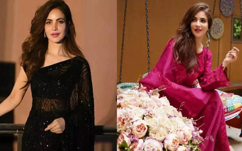 اداکارہ حمیرا اصغر کے فلیٹ سے پولیس کو نئے ثبوت مل گئے