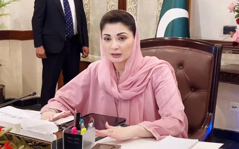 صحتمند دماغ ہی مثبت سوچ و تعمیری فیصلوں کی بنیاد رکھتے ہیں: مریم نواز