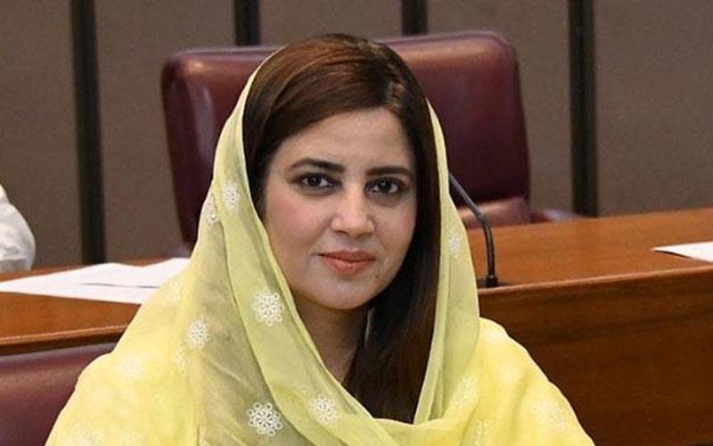  تحریک انصاف نظریے کی قیمت چکا رہی ہے:زرتاج گل