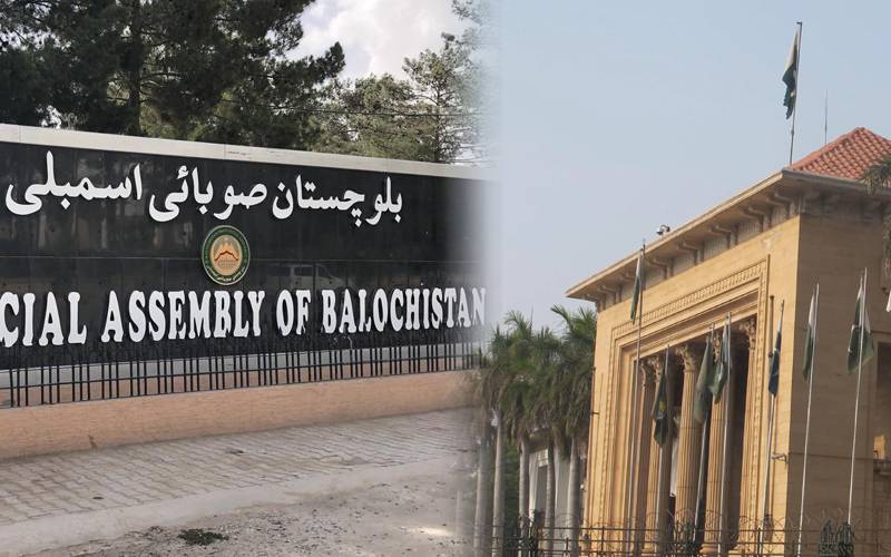 بلوچستان اسمبلی میں ڈیگاری قتل کے خلاف مشترکہ مذمتی قرارداد منظور ،ملزموں کو کڑی سزا کا مطالبہ 