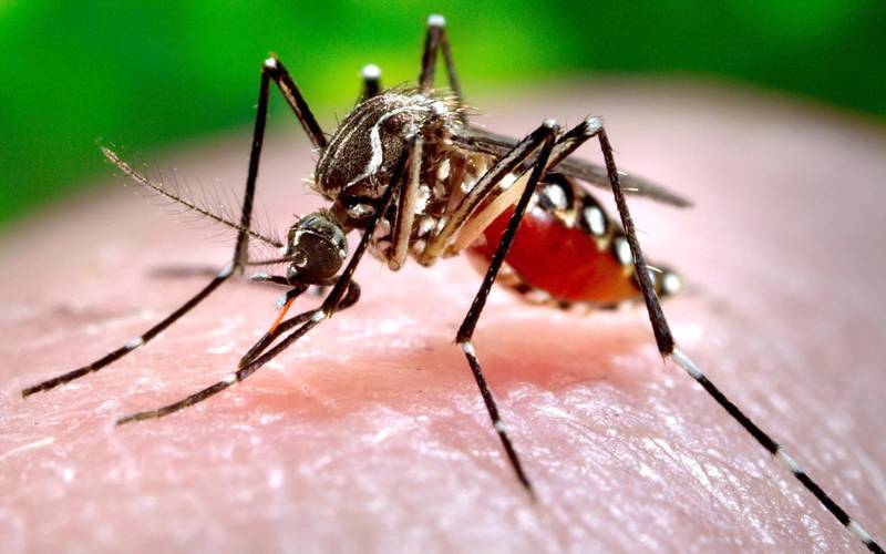 ایک اوربڑی عالمی وبا پھوٹنے کا خطرہ ، عالمی ادارہ صحت نے خبردارکردیا
