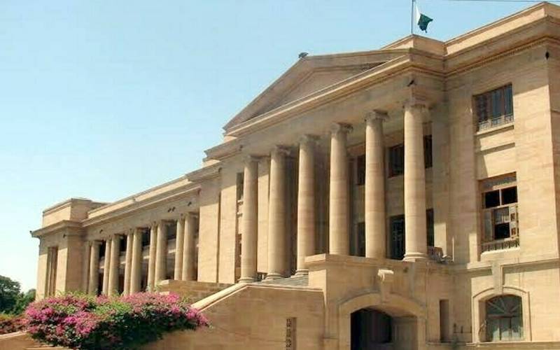 شاپنگ بیگزپرپابندی،سندھ ہائیکورٹ کا عبوری طورپرکام جاری رکھنے کی اجازت دینے سے انکار