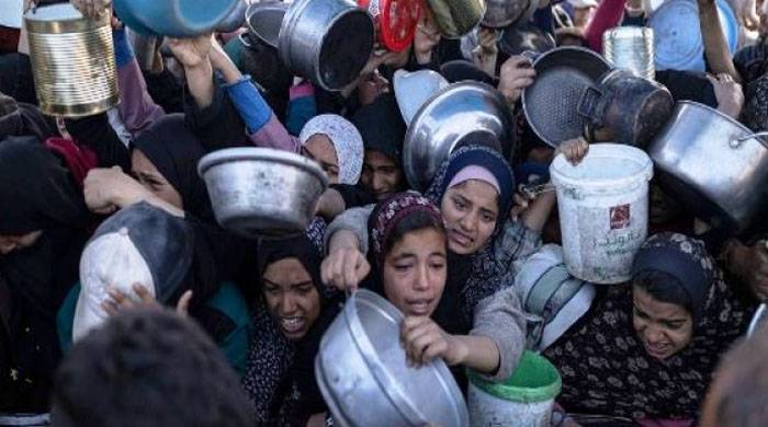 غزہ : بھوک سے مزید 10 فلسطینی انتقال کر گئے 