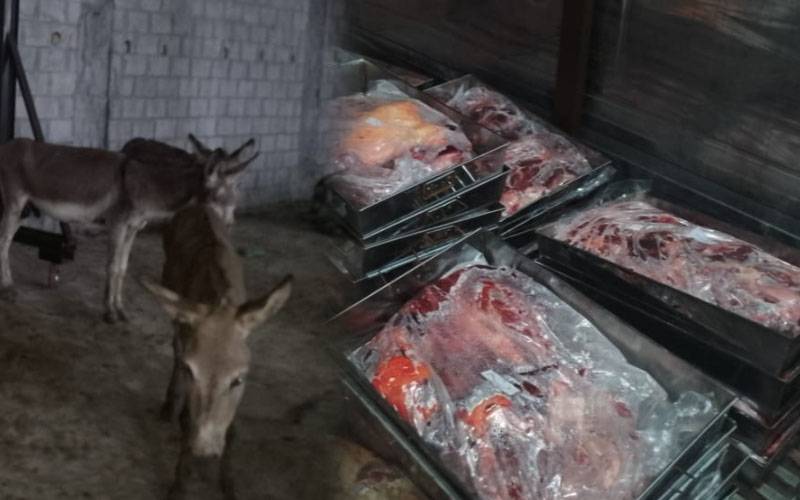 اسلام آباد فوڈ اتھارٹی کا ترنول میں چھاپہ،گدھے کا 25 من گوشت برآمد