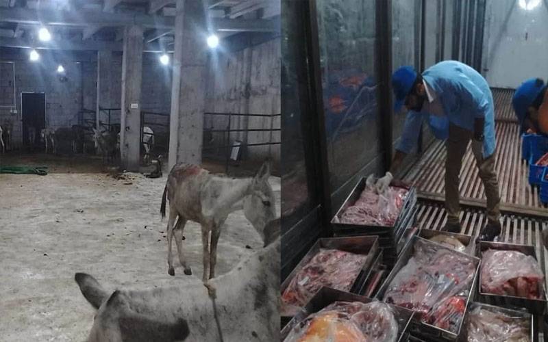 اسلام آباد: گدھے کا گوشت ملنے کے معاملے میں پیشرفت 