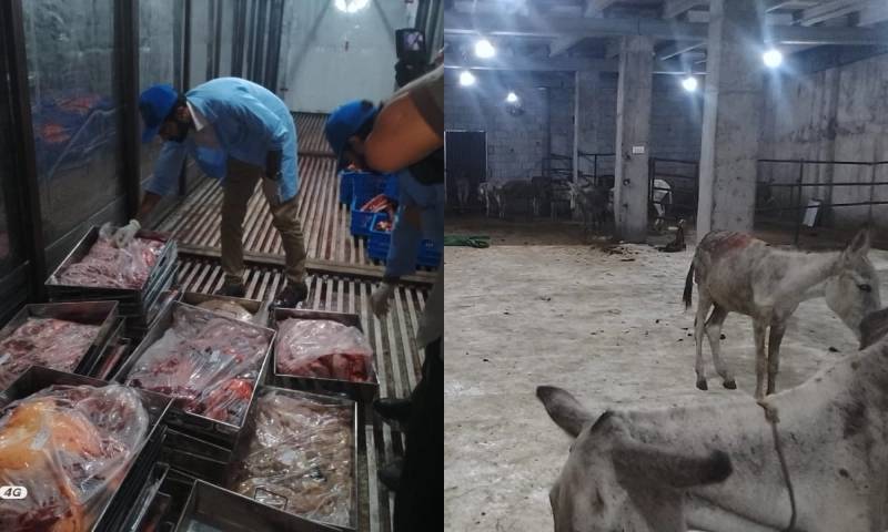 اسلام آباد سے گدھے کی گوشت کی برآمدگی کیس میں تحقیقات جاری، ایک غیرملکی گرفتار