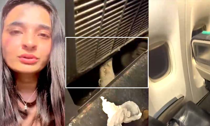 پی آئی اے کی سنگین غفلت، جہاز کی 13 روز تک رسک فلائٹ 