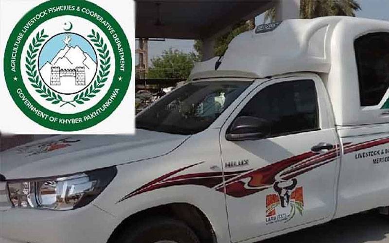 خیبرپختونخوا: محکمہ لائیوسٹاک کی 80 گاڑیاں غائب، آڈٹ رپورٹ نے بھانڈا پھوڑ دیا