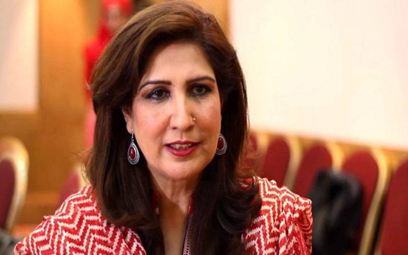 اسحاق ڈار عافیہ صدیقی کا ذکر نہ کرتے تو بہتر ہوتا،شہلا رضا