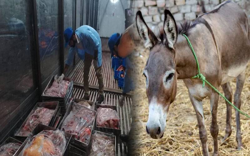 خیبر پختونخوا میں بھی گدھے کے گوشت کی فروخت، ذبح شدہ گدھا برآمد ،2 افراد گرفتار