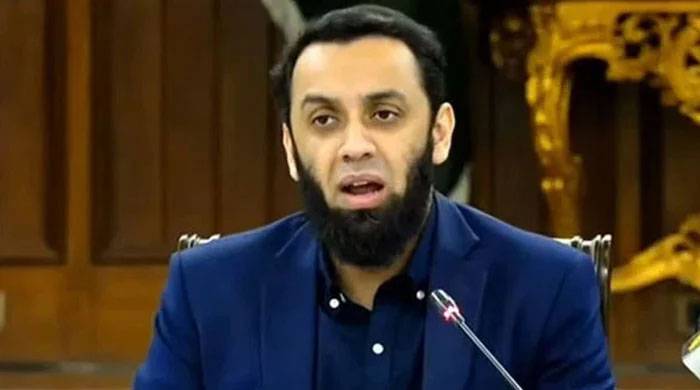 پاکستان میں ہونے والی دہشت گردی کو بیرونی پشت پناہی حاصل ہے: عطااللہ تارڑ