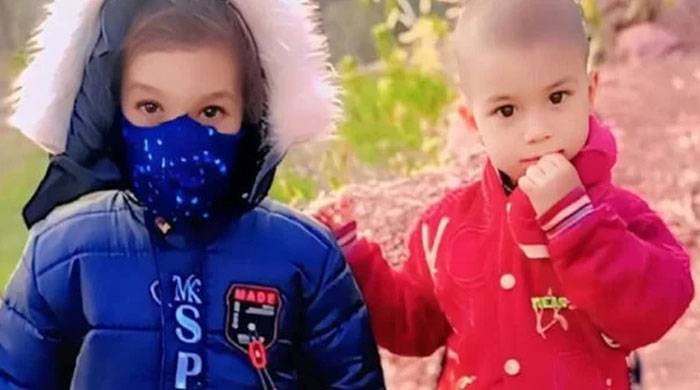 آزاد کشمیر ، زہریلے سانپ نے بہن بھائی کو ڈس لیا، جان کی بازی ہار گئے 