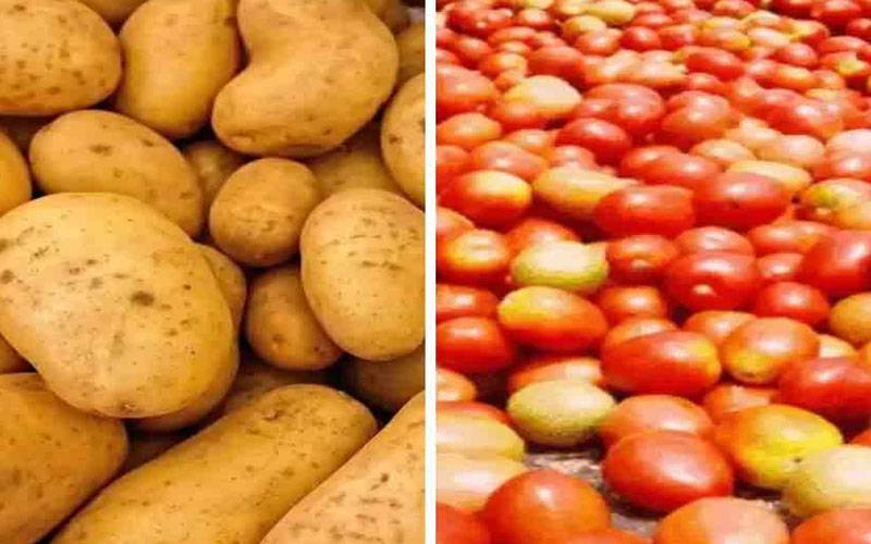 آلو اور ٹماٹر ایک ہی پودے کی پیدوارقرار