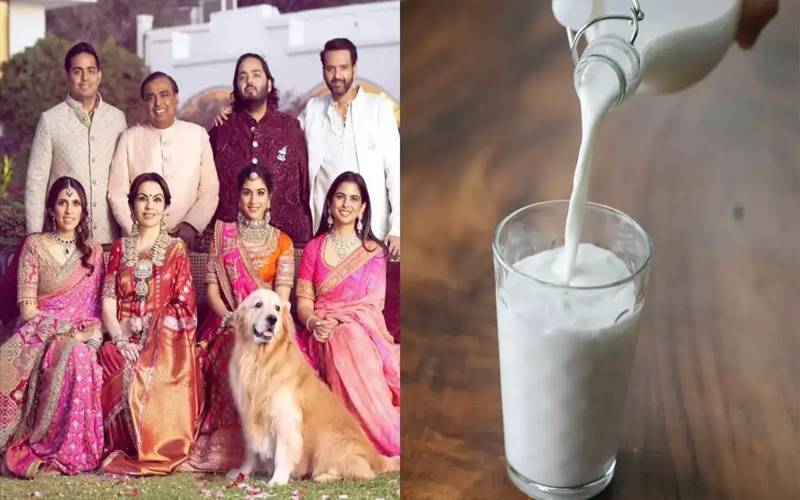 مکیش امبانی کا گھرانہ کس خاص نسل کی گائے کا دودھ استعمال کرتا ہے؟