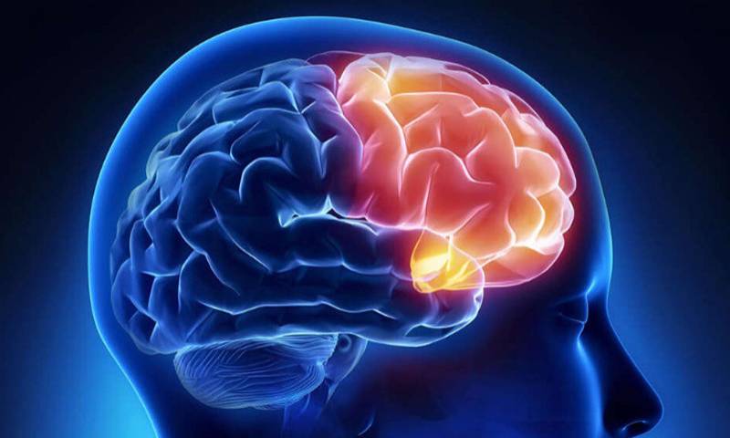 دماغ میں اہم دھات کی کمی خطرناک بیماری کا ممکنہ سبب قرار