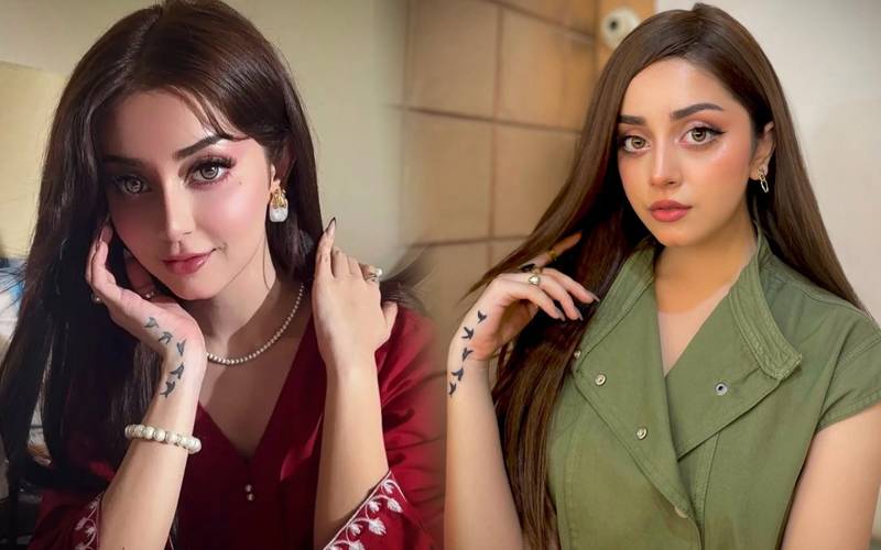 علیزے شاہ کی مبینہ بوائے فرینڈ کیساتھ ویڈیو وائرل،نئی بحث چھڑگئی
