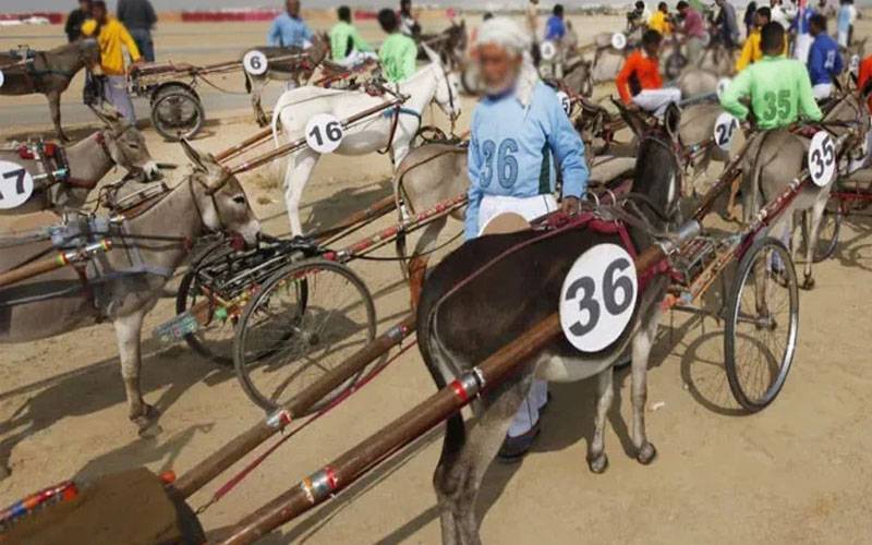 جشن آزادی پر گدھا ریس، ندیم کالا نے جیت لی 