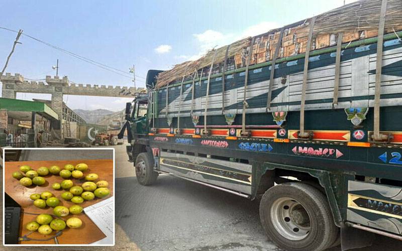 افغانستان نے 15 ٹن خراب لیموں پاکستان کو واپس بھیج دیئے
