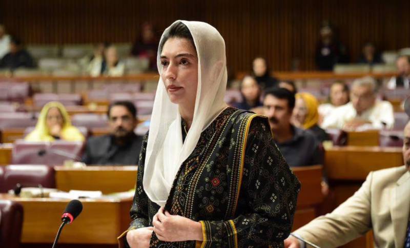 افسوس کیساتھ علم ہوا کہ لاکھوں لوگوں کو بیروزگار کیا جارہا ہے، آصفہ بھٹو