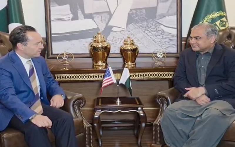 وزیر داخلہ سے اعلیٰ سطح امریکی وفد کی ملاقات، انسداد دہشتگردی سمیت مختلف امور پر اتفاق