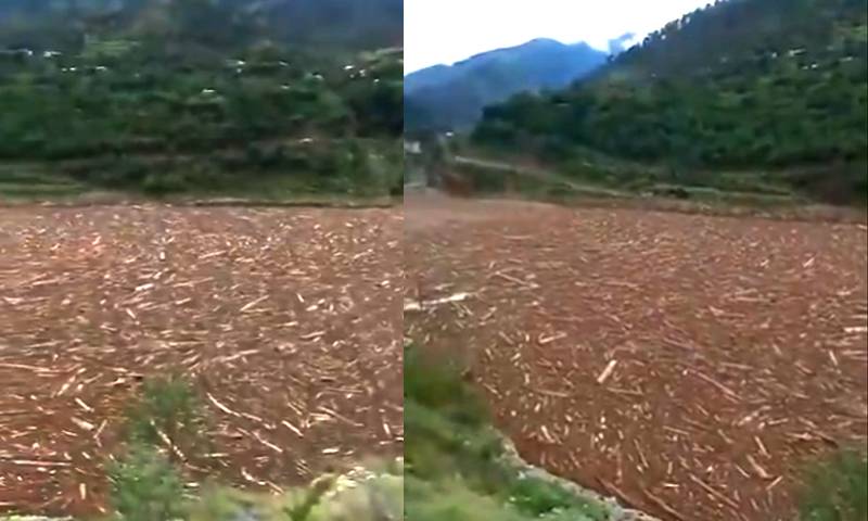 آزاد کشمیر میں سیلابی ریلہ، دریا لوگوں کی کاٹی گئی لکڑیوں سے بھر گیا